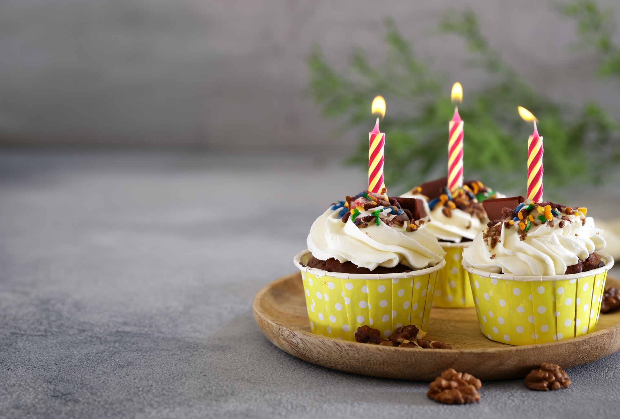cupcakes with cream and holiday candles
